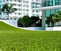 Synthetic Turf